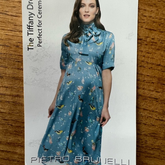 Pietro Brunelli “Tiffany” Bird Print Maternity Dress.   New With Tags. NWT - Picture 2 of 8